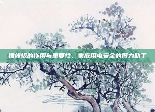 插線板的作用與重要性，家庭用電安全的得力助手