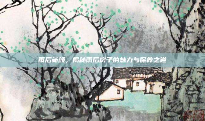 雨后新顏，揭秘雨后房子的魅力與保養(yǎng)之道