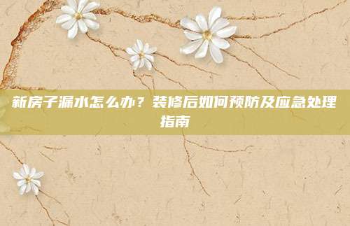 新房子漏水怎么辦？裝修后如何預(yù)防及應(yīng)急處理指南