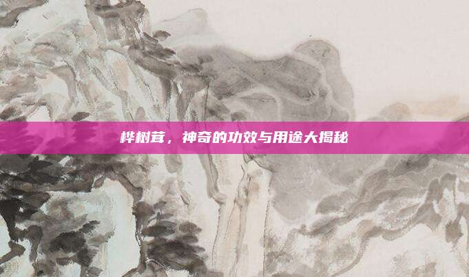 樺樹(shù)茸，神奇的功效與用途大揭秘