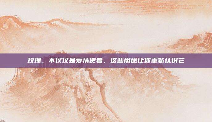 玫瑰，不僅僅是愛情使者，這些用途讓你重新認(rèn)識它