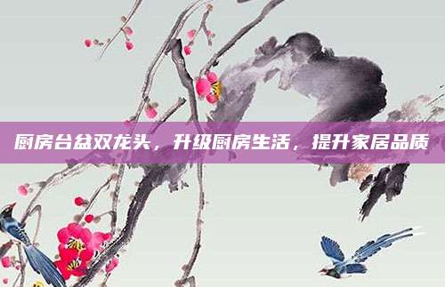 廚房臺盆雙龍頭，升級廚房生活，提升家居品質(zhì)