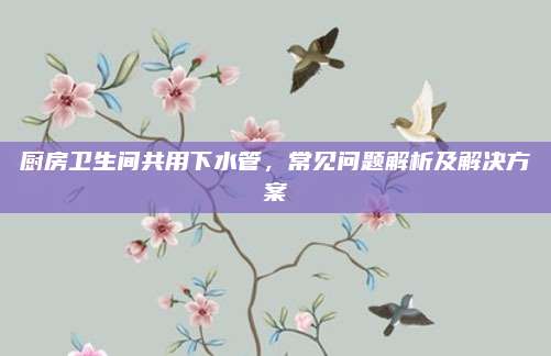 廚房衛(wèi)生間共用下水管，常見問題解析及解決方案