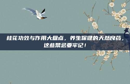 桂花功效與作用大盤點，養(yǎng)生保健的天然良藥，這些禁忌要牢記！