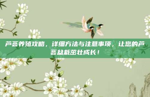 蘆薈養(yǎng)殖攻略，詳細(xì)方法與注意事項(xiàng)，讓您的蘆薈盆栽茁壯成長(zhǎng)！