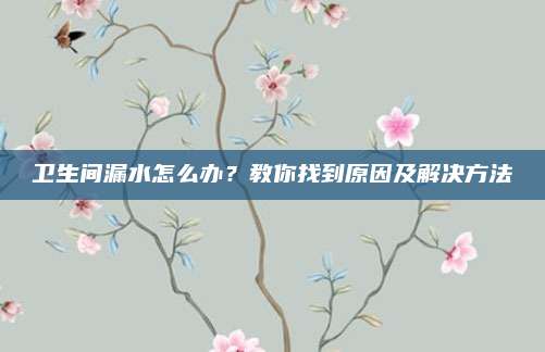 衛(wèi)生間漏水怎么辦？教你找到原因及解決方法