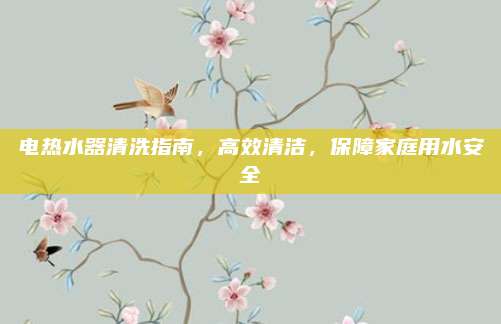電熱水器清洗指南，高效清潔，保障家庭用水安全