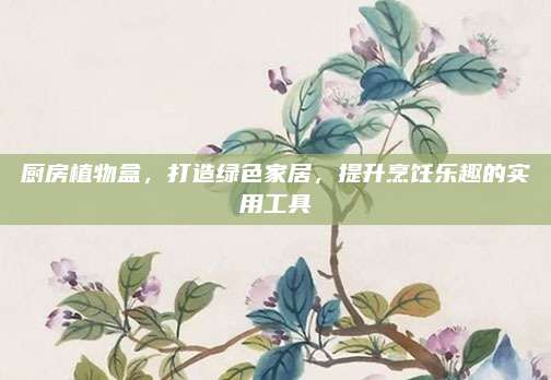 廚房植物盒，打造綠色家居，提升烹飪樂趣的實(shí)用工具