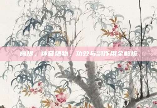 葛根，神奇植物，功效與副作用全解析
