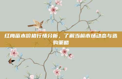 紅梅苗木價(jià)格行情分析，了解當(dāng)前市場(chǎng)動(dòng)態(tài)與選購策略