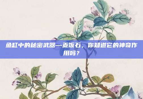 魚缸中的秘密武器—麥飯石，你知道它的神奇作用嗎？