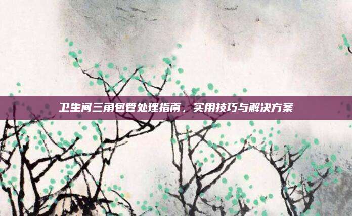 衛(wèi)生間三角包管處理指南，實(shí)用技巧與解決方案