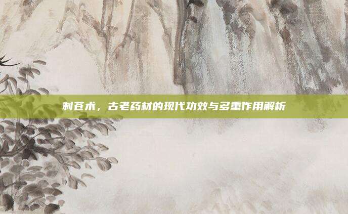 制蒼術(shù),古老藥材的現(xiàn)代功效與多重作用解析