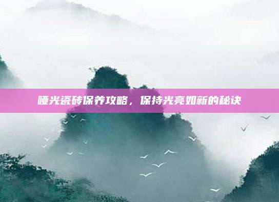 啞光瓷磚保養(yǎng)攻略,，保持光亮如新的秘訣