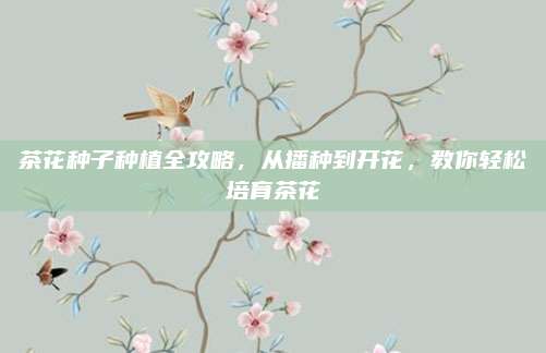 茶花種子種植全攻略，從播種到開花，教你輕松培育茶花