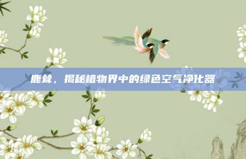 鹿聳，揭秘植物界中的綠色空氣凈化器