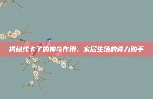 揭秘線卡子的神奇作用，家居生活的得力助手