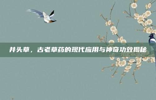并頭草，古老草藥的現(xiàn)代應(yīng)用與神奇功效揭秘