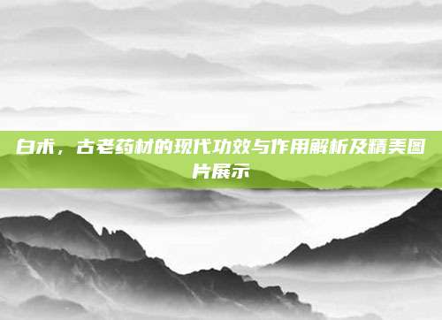 白術(shù)，古老藥材的現(xiàn)代功效與作用解析及精美圖片展示