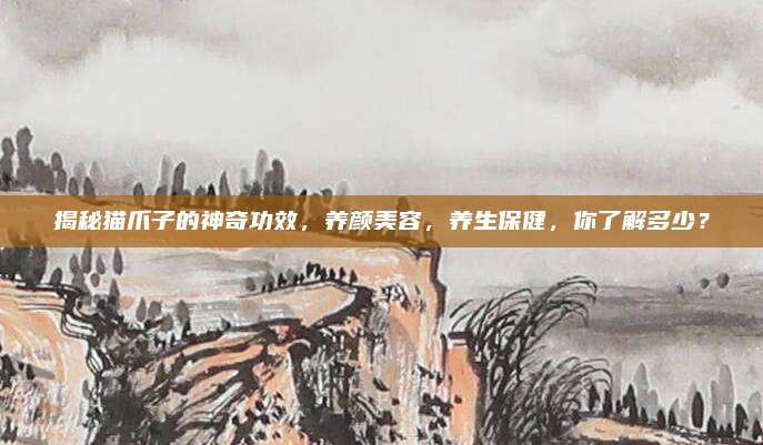 揭秘貓爪子的神奇功效，養(yǎng)顏美容，養(yǎng)生保健，你了解多少？