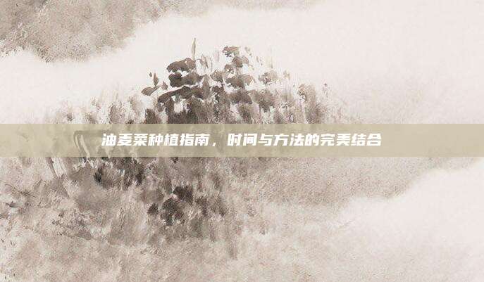 油麥菜種植指南，時間與方法的完美結合