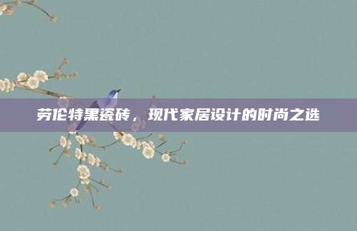 勞倫特黑瓷磚，現(xiàn)代家居設(shè)計的時尚之選