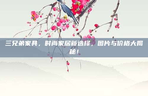 三兄弟家具，時尚家居新選擇，圖片與價格大揭秘！