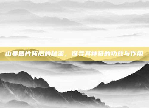 山姜圖片背后的秘密，探尋其神奇的功效與作用