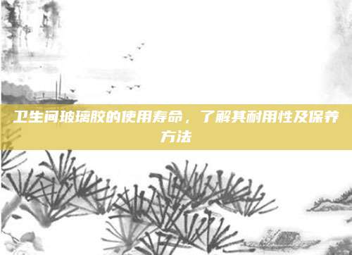衛(wèi)生間玻璃膠的使用壽命，了解其耐用性及保養(yǎng)方法