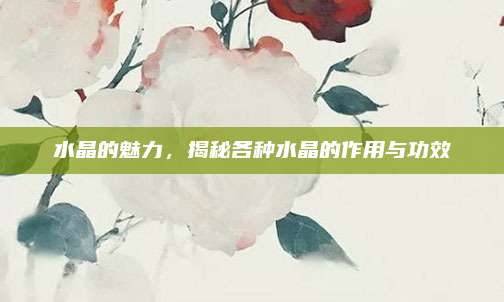 水晶的魅力，揭秘各種水晶的作用與功效