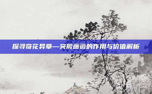 探尋奇花異草—突厥薔薇的作用與價值解析