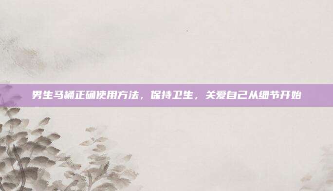 男生馬桶正確使用方法，保持衛(wèi)生，關(guān)愛自己從細(xì)節(jié)開始