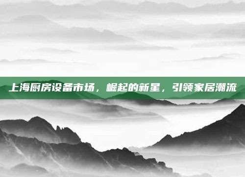 上海廚房設(shè)備市場，崛起的新星，引領(lǐng)家居潮流