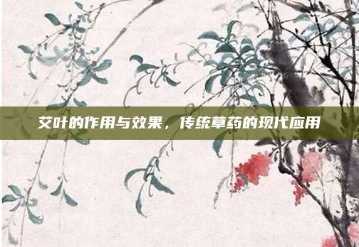 艾葉的作用與效果,，傳統(tǒng)草藥的現(xiàn)代應(yīng)用