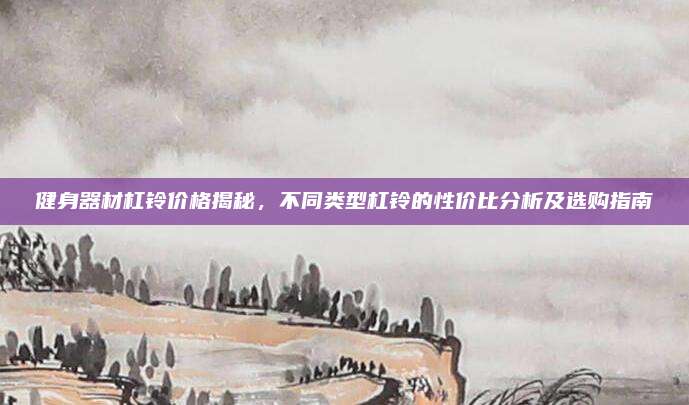 健身器材杠鈴價格揭秘，不同類型杠鈴的性價比分析及選購指南