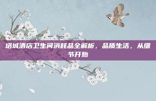 塔城酒店衛(wèi)生間消耗品全解析，品質(zhì)生活，從細(xì)節(jié)開始