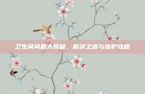 衛(wèi)生間問題大揭秘，解決之道與維護攻略