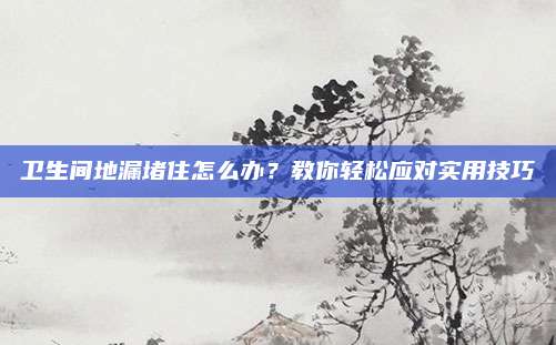 衛(wèi)生間地漏堵住怎么辦？教你輕松應(yīng)對實用技巧