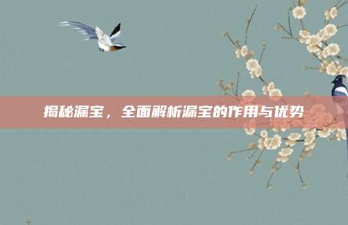 揭秘漏寶,，全面解析漏寶的作用與優(yōu)勢