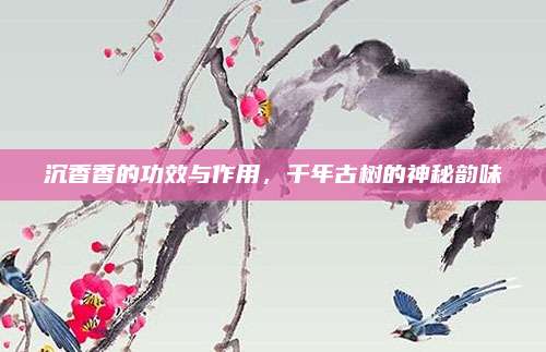 沉香香的功效與作用,，千年古樹的神秘韻味