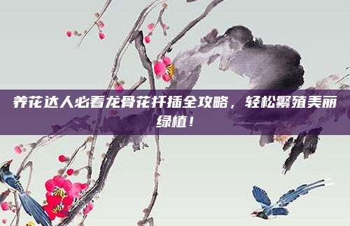 養(yǎng)花達人必看龍骨花扦插全攻略，輕松繁殖美麗綠植！