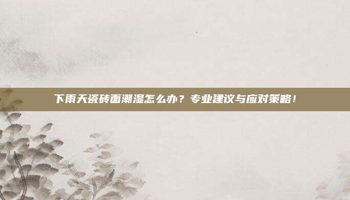 下雨天瓷磚面潮濕怎么辦？專業(yè)建議與應(yīng)對策略,！