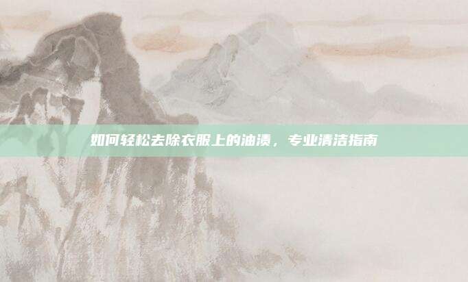如何輕松去除衣服上的油漬,，專業(yè)清潔指南