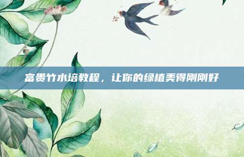 富貴竹水培教程,，讓你的綠植美得剛剛好