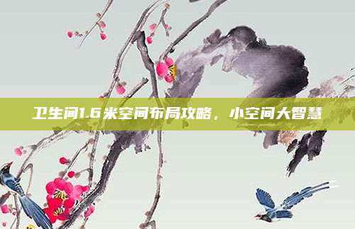 衛(wèi)生間1.6米空間布局攻略,，小空間大智慧