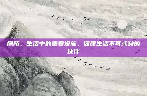 廁所，生活中的重要設(shè)施,，健康生活不可或缺的伙伴