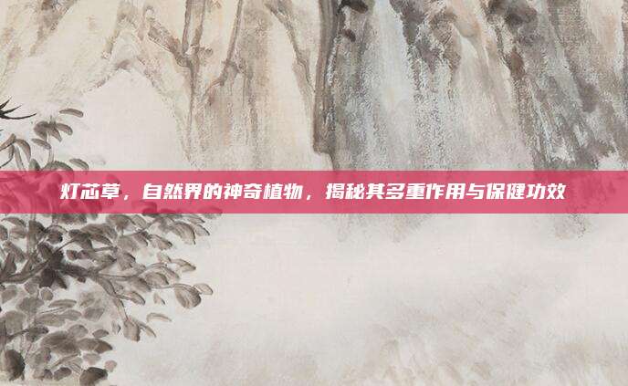 燈芯草，自然界的神奇植物,，揭秘其多重作用與保健功效