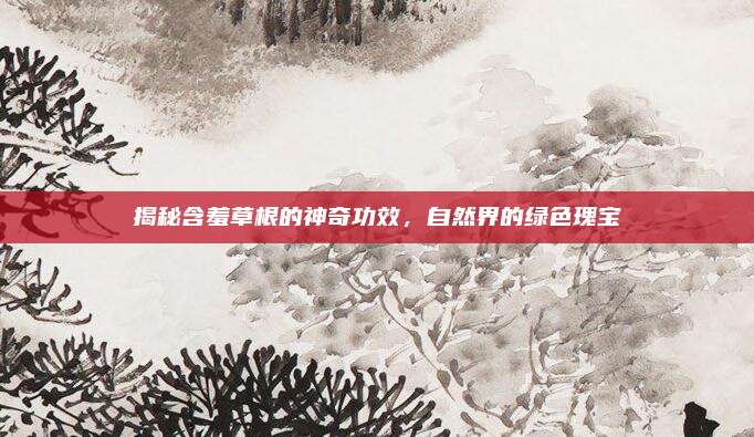 揭秘含羞草根的神奇功效,，自然界的綠色瑰寶