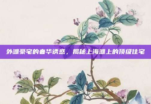 外灘豪宅的奢華誘惑,，揭秘上海灘上的頂級住宅