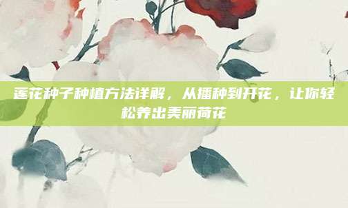 蓮花種子種植方法詳解,，從播種到開花，讓你輕松養(yǎng)出美麗荷花